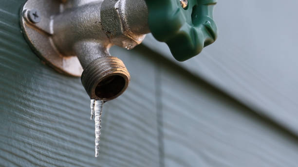 Best Residential Plumbing Services  in Louisville, TN